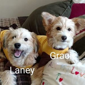 Meet your Posher, Rhonda